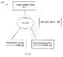 Fig. 02 - System for creating and distributing interactive advertisements to mobile devices