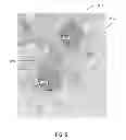 Fig. 06 - Methods and systems of aggregating information of social networks based on geographical locations via a network