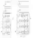Fig. 03 - Sliding-window multi-class striping