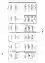 Fig. 04 - Sliding-window multi-class striping