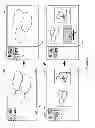 Fig. 03 - APPLICATION FOR VIEWING IMAGES
