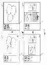 Fig. 03 - OPERATIONS AFFECTING MULTIPLE IMAGES