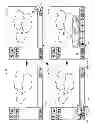 Fig. 06 - OPERATIONS AFFECTING MULTIPLE IMAGES
