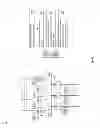 Fig. 04 - Audio/video channel transbonding in a network device