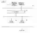 Fig. 02 - Content transmitter, content transmitting method and program