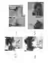 Fig. 09 - Methods of increasing abiotic stress tolerance and/or biomass in plants