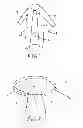 Fig. 02 - PROTECTION GOWN WITH BREAKABLE NECK PORTION