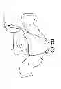 Fig. 40 - Convertible garment