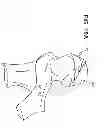 Fig. 43 - Convertible garment