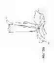 Fig. 45 - Convertible garment