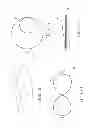 Fig. 09 - Collapsible head covering device