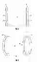 Fig. 04 - Systems and Methods for Collecting One or More Measurements in a Borehole