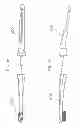 Fig. 10 - Flossing system