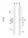 Fig. 08 - SOLAR CELL AND MANUFACTURING METHOD THEREOF