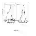 Fig. 04 - Plasma-chlorinated electrode and organic electronic devices using the same