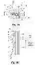 Fig. 12 - Windback device for a circumferential seal