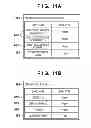 Fig. 10 - Information processing apparatus and information processing method