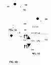 Fig. 02 - Mobile devices having fax capabilities