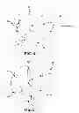 Fig. 04 - Wet capacitor cathode containing an alkyl-substituted poly(3,4-ethylenedioxythiophene)