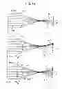 Fig. 13 - Vehicle headlamp