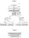 Fig. 02 - Information processing device