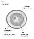 Fig. 08 - Proteomic Antisense Molecular Shield and Targeting