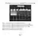 Fig. 08 - Foamable formulation