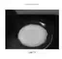 Fig. 74 - Foamable formulation