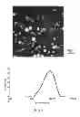 Fig. 02 - Polymeric conjugates of active principles, their process of preparation and their polymeric intermediates