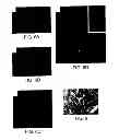 Fig. 06 - Compositions and methods for regulating angiogenesis