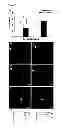 Fig. 02 - Methods and compositions for wound healing