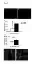 Fig. 08 - Methods and compositions for wound healing