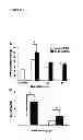 Fig. 09 - Methods and compositions for wound healing