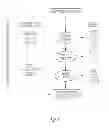Fig. 02 - Production of insulin producing cells
