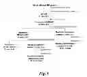 Fig. 02 - Solubilization of antigen components for removal from tissues