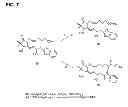 Fig. 08 - Compositions and soft tissue replacement methods