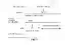 Fig. 08 - ANTI-IGE ANTIBODIES AND METHODS USING SAME