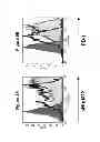 Fig. 06 - Recombinantly produced antibody