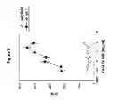 Fig. 09 - Recombinantly produced antibody