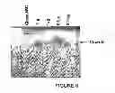 Fig. 09 - CHIMERIC PROTEIN