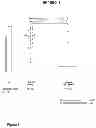 Fig. 09 - PEPTIDES PROTECTIVE AGAINST E. FAECALIS, METHODS AND USES RELATING THERETO