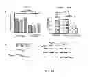 Fig. 04 - Predicting TGF-beta Therapeutic Responses