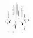 Fig. 02 - Multiple Gene Expression Including sORF Constructs and Methods with Polyproteins, Pro-Proteins and Proteolysis