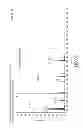 Fig. 07 - Cancer-associated antigen