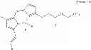 Fig. 167 - BODIPY structure fluorescence dye for neural stem cell probe