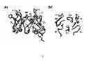 Fig. 04 - huTNFR1 selective antagonists