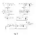 Fig. 05 - huTNFR1 selective antagonists
