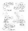 Fig. 09 - Gaming method and system having animated character for player information delivery