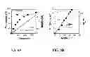 Fig. 09 - Set-LRP polymerization of acrylates in the presence of acids