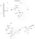 Fig. 03 - METHOD FOR PRODUCING L-FUCOSE